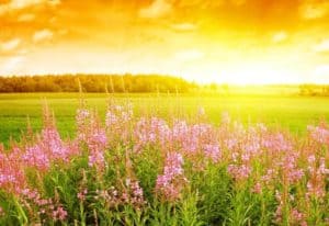 С Феминорм Дуо лятото е още по-приятно