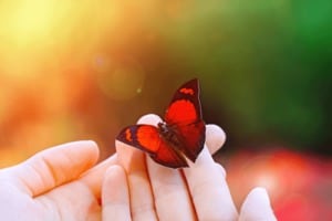 Феминорм Остео връща спокойствието на менопаузалните жени!