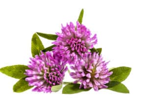 Природни средства за менопауза – как да облекчим симптомите по естествен път?