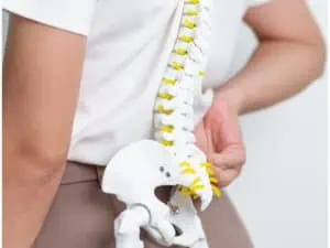 Спиране на ХЗТ – бързо повишава риска от костни фрактури